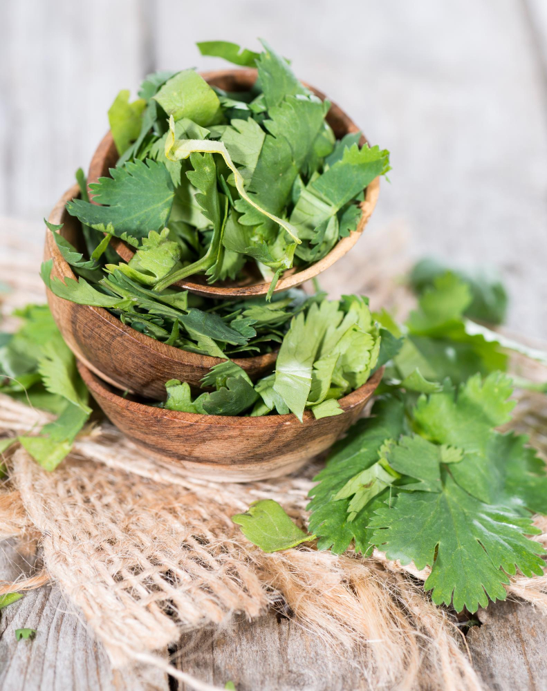 El cilantro es una de las hierbas más utilizadas en la gastronomía caribeña y aporta un sabor muy característico y fresco a los platos.